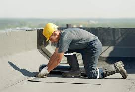 Roof Moss and Algae Removal in Spindale, NC